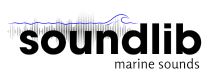 SoundLib Logo